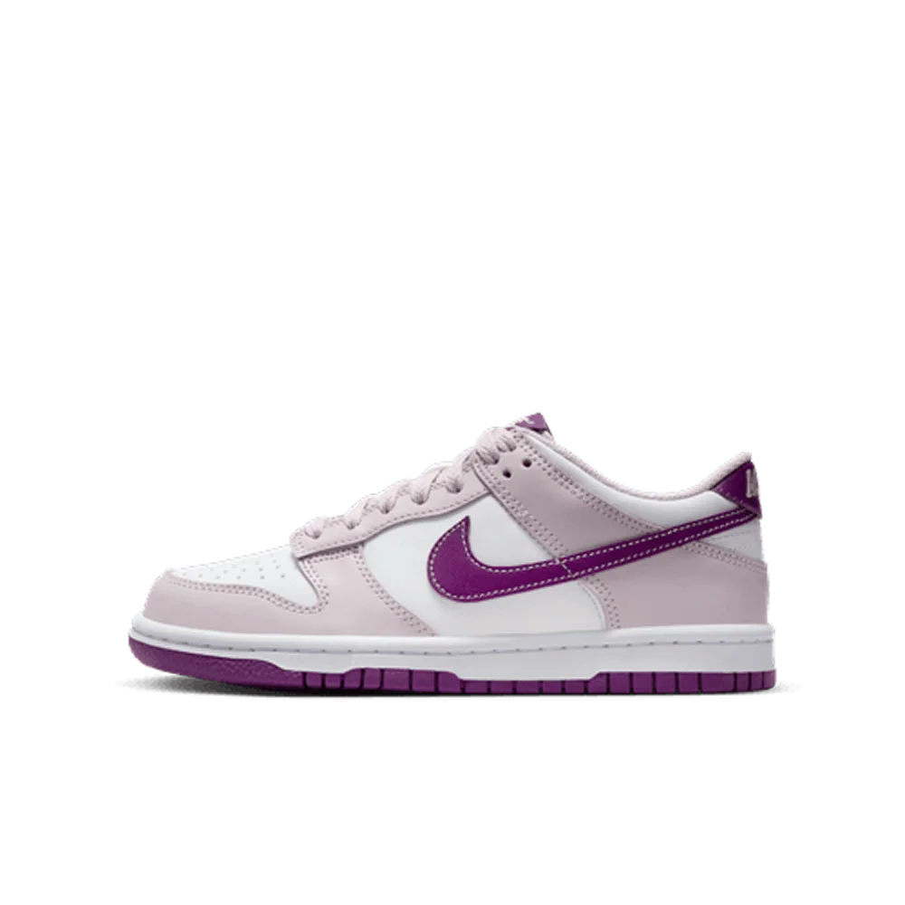 Nike Big Kids Dunk Low Shoes