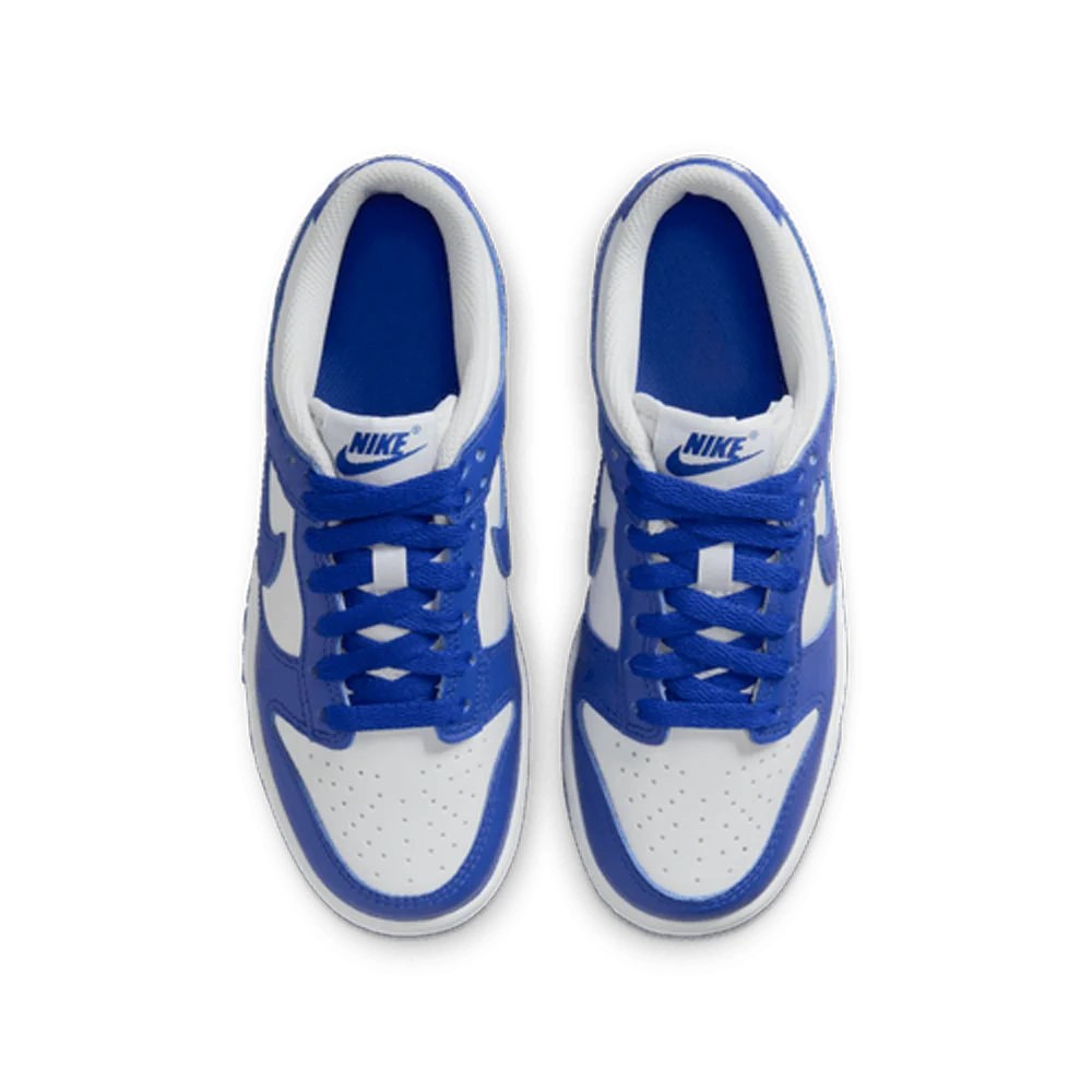 Nike Big Kids Dunk Low Shoes