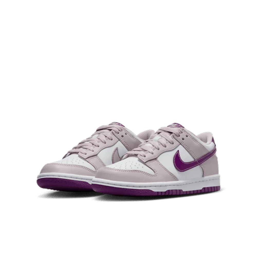 Nike Big Kids Dunk Low Shoes