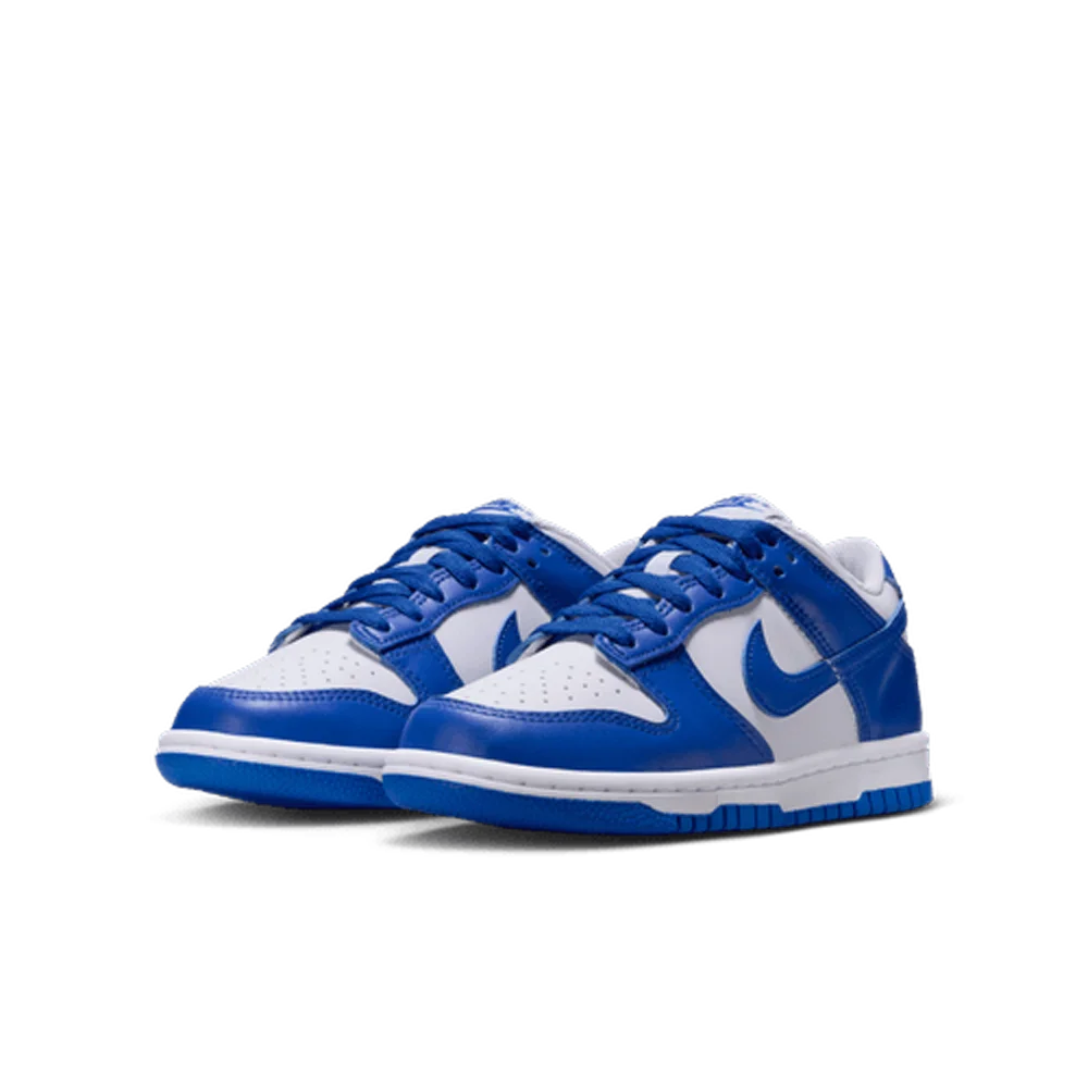 Nike Big Kids Dunk Low Shoes