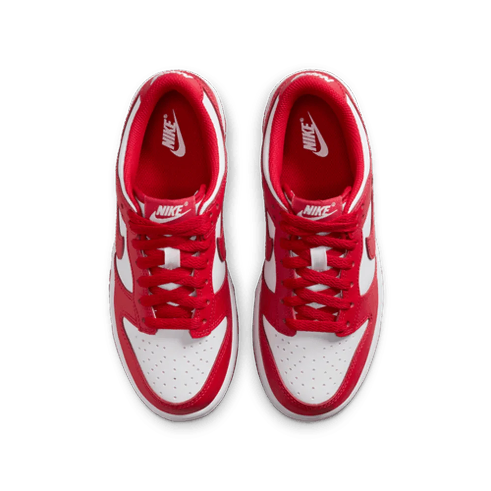 Nike Big Kids Dunk Low Shoes