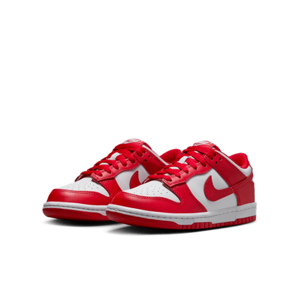 Nike Big Kids Dunk Low Shoes