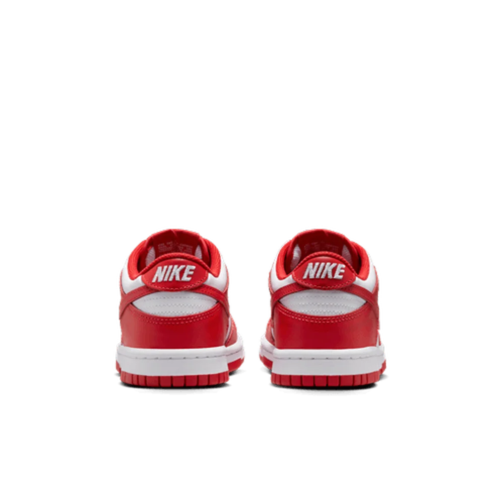 Nike Big Kids Dunk Low Shoes