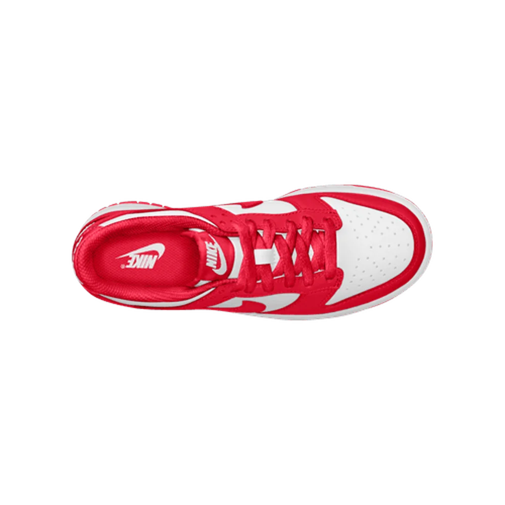 Nike Big Kids Dunk Low Shoes