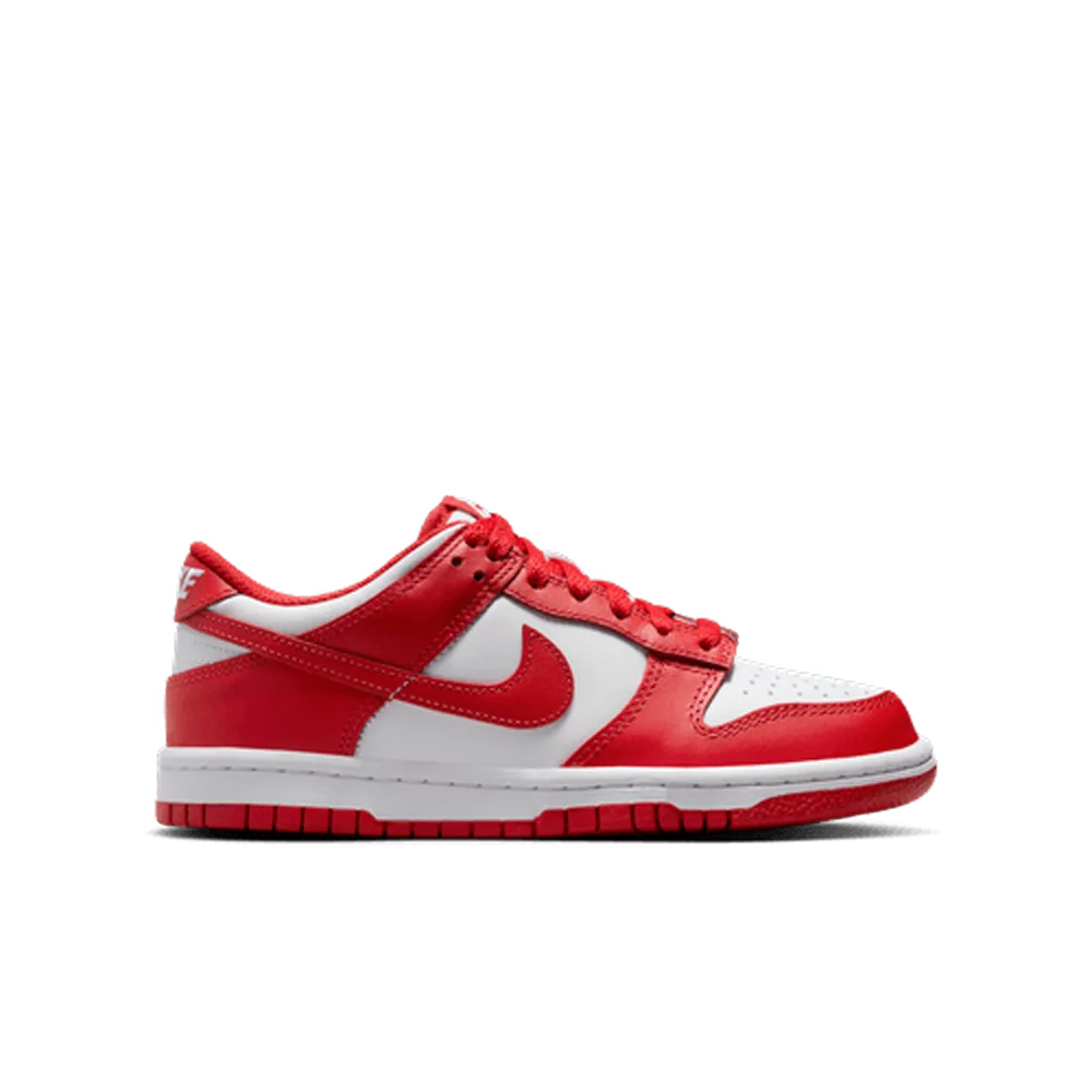 Nike Big Kids Dunk Low Shoes