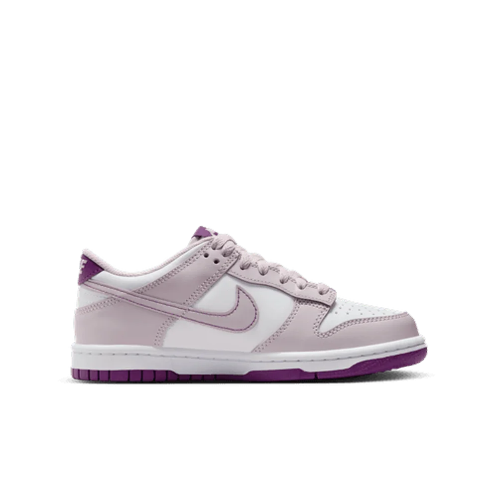 Nike Big Kids Dunk Low Shoes