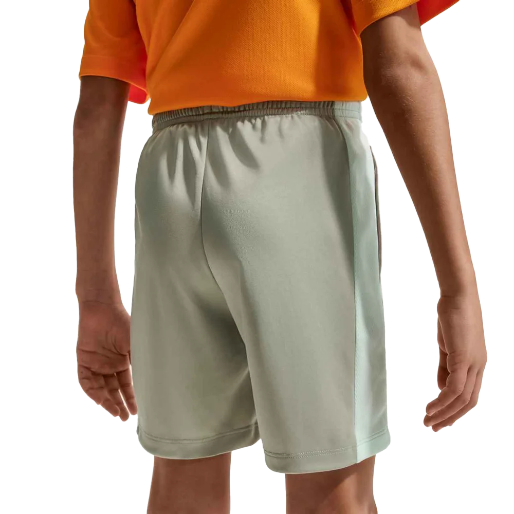 Nike Boys Trophy 23 Big Kids Dri-FIT Shorts