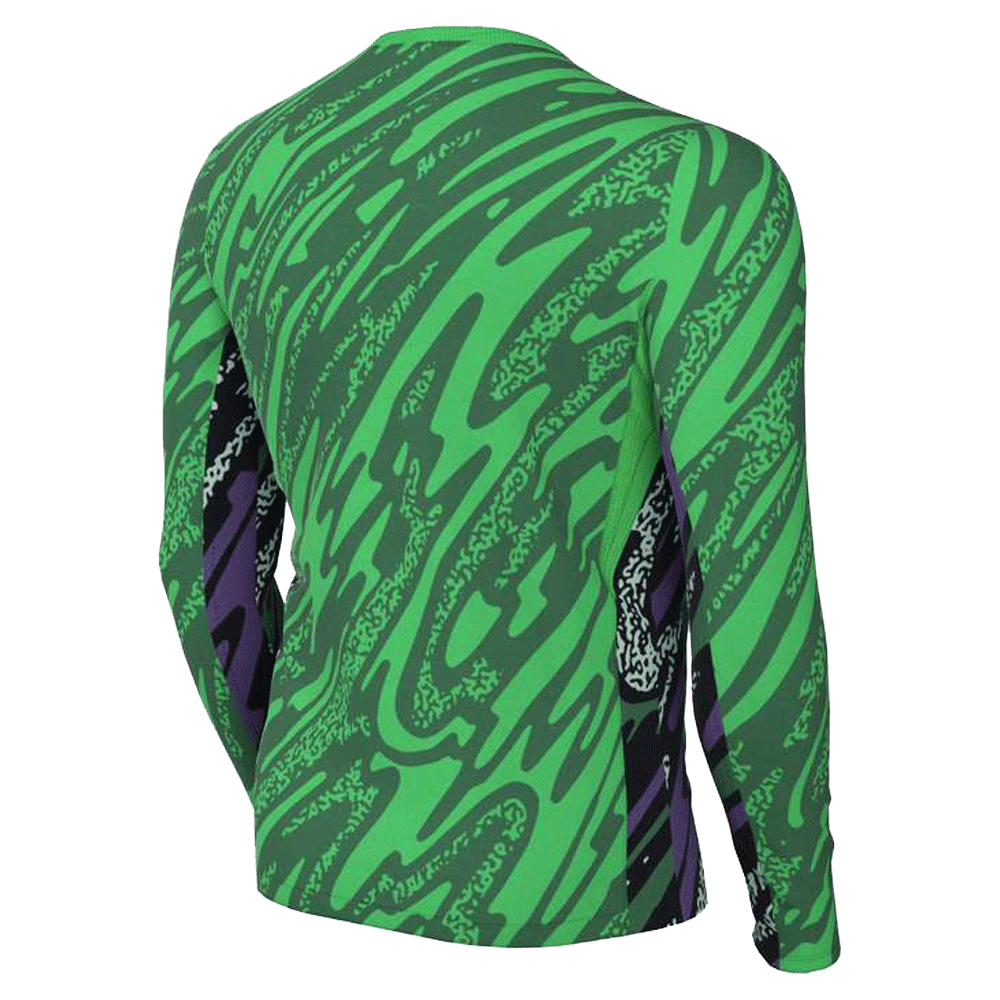 Nike Kid's Dri-Fit Gardien V Goalkeeper Jersey LS US
