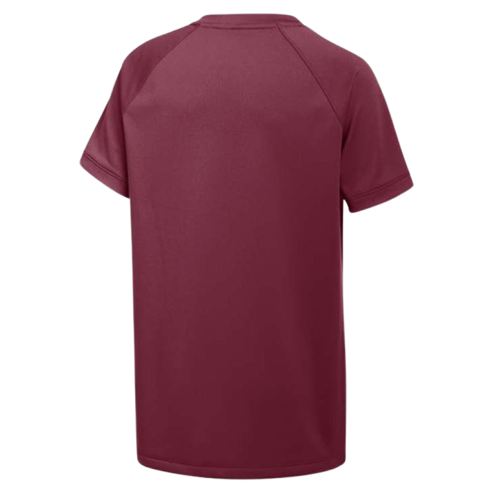 Camiseta Nike Vapor Select2 con cuello en V para niños (ajuste estándar) 