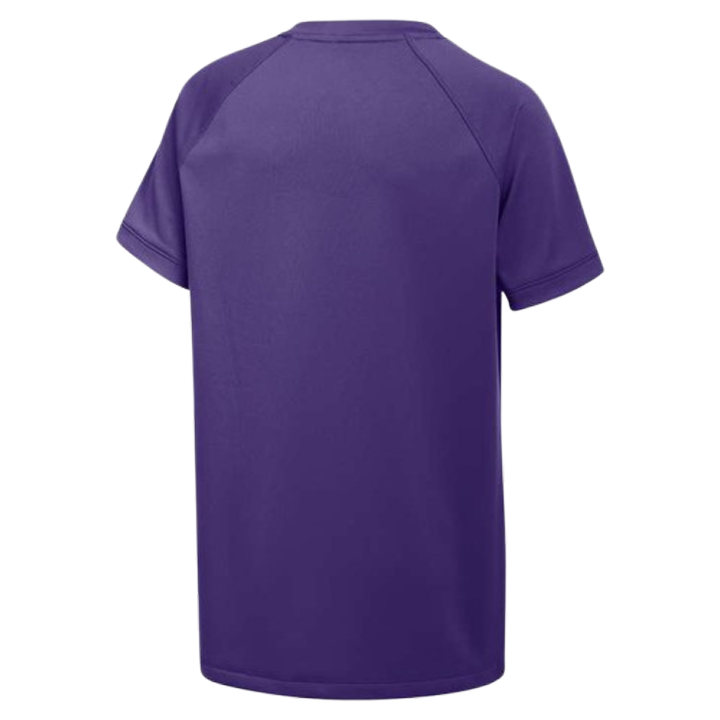 Nike Kid's Stock Vapor Select2 V-neck Jersey (Standard Fit