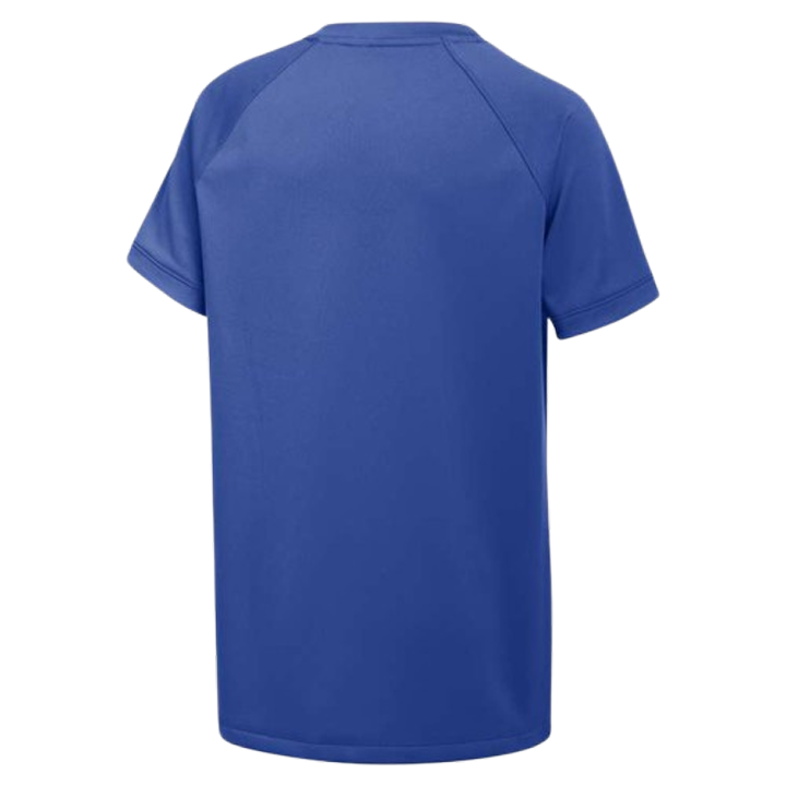 Camiseta Nike Vapor Select2 con cuello en V para niños (ajuste estándar) 