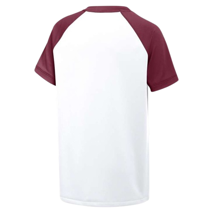 Camiseta Nike Vapor Select2 con cuello en V para niños (ajuste estándar) 