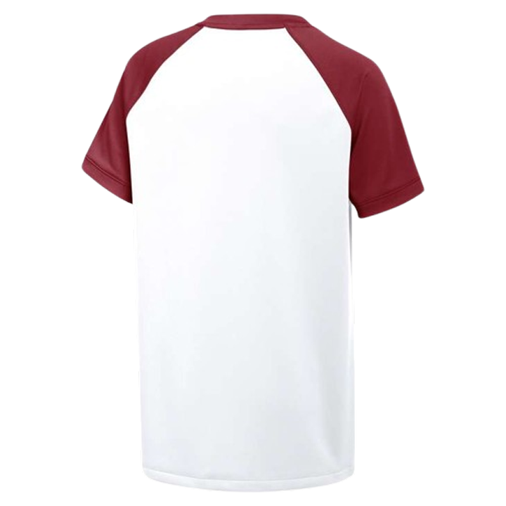 Camiseta Nike Vapor Select2 con cuello en V para niños (ajuste estándar) 