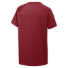 Camiseta Nike Vapor Select2 con cuello en V para niños (ajuste estándar) 