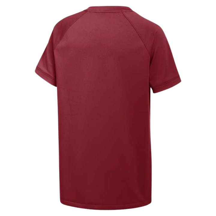 Camiseta Nike Vapor Select2 con cuello en V para niños (ajuste estándar) 