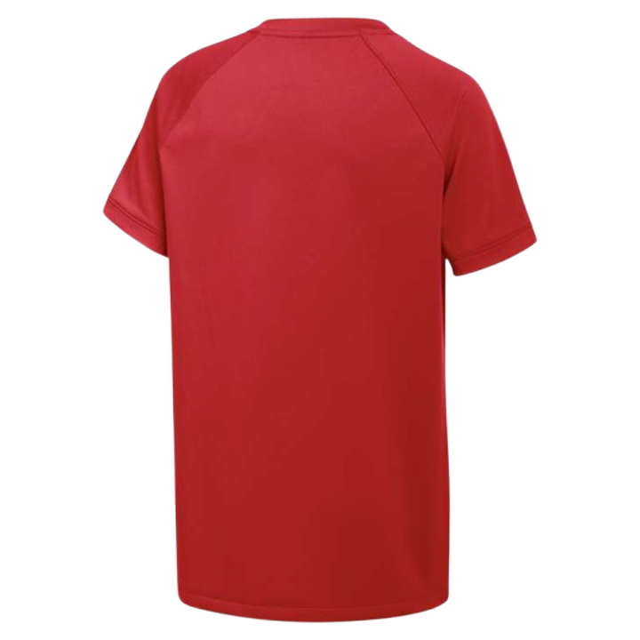 Camiseta Nike Vapor Select2 con cuello en V para niños (ajuste estándar) 