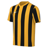 Camiseta Nike de rayas División V para niños (temporada baja) (EE. UU.)