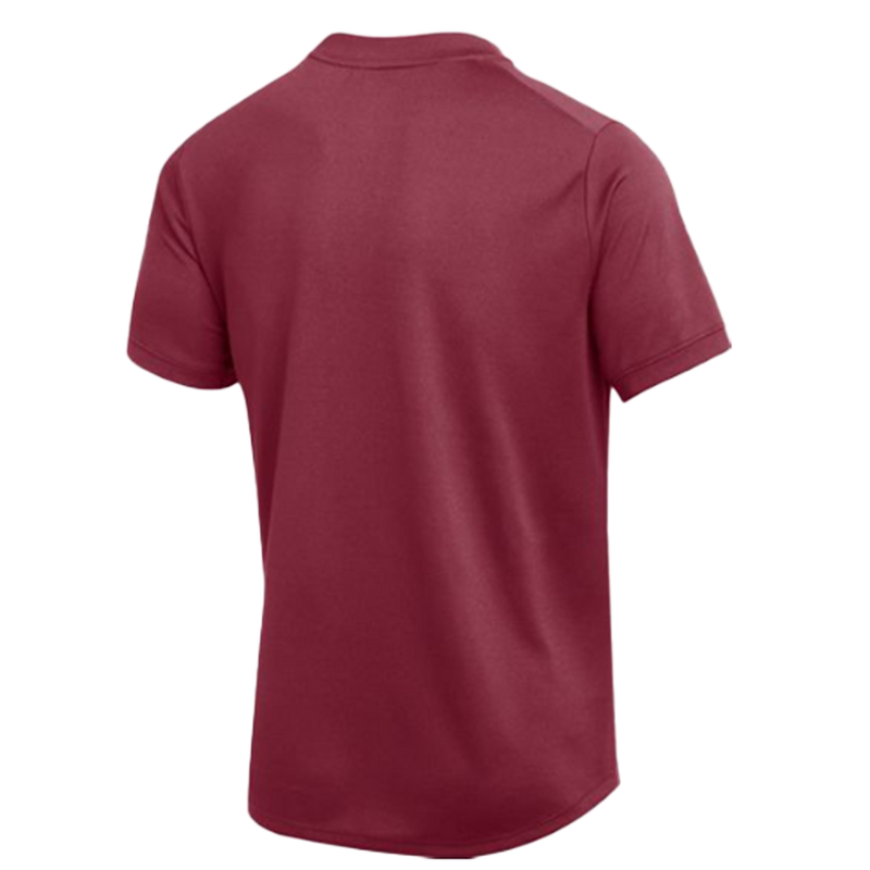 Nike Men's Court Dri-Fit Polo Blade (Standard Fit)