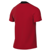 Nike Men's Dri-Fit Academy Pro 24 SS Top K