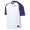 Camiseta Nike Vapor Select2 con cuello en V para hombre (ajuste estándar) 
