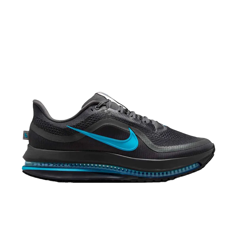 Nike Pegasus Premium Men's Road Running Shoes Blue color.