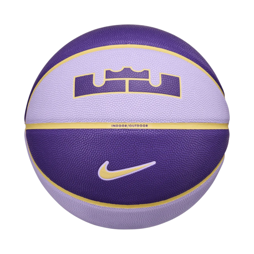 Nike Unisex All Court 2.0 8P L James Purple color
