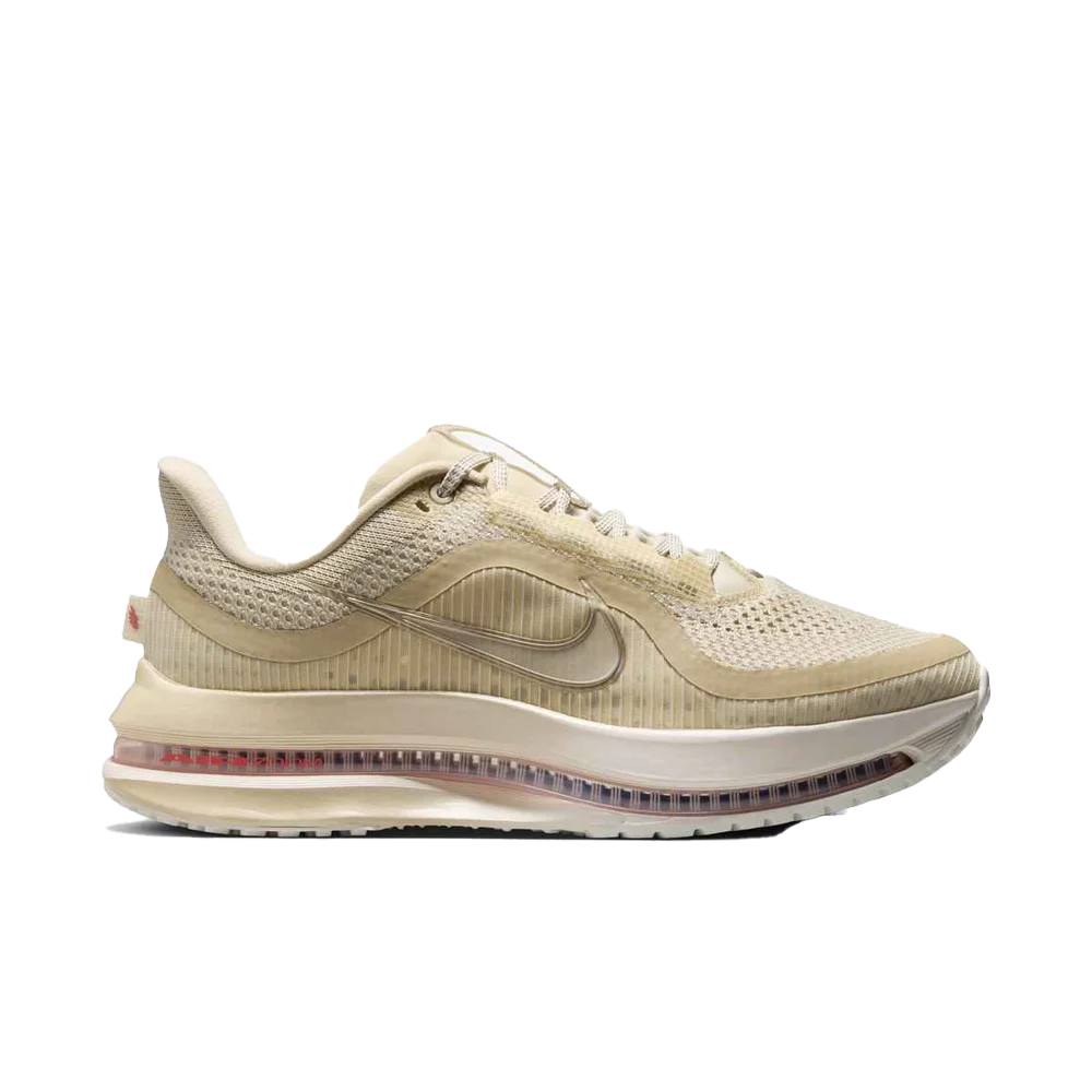 Nike Women's Pegasus Premium Road Running Shoes