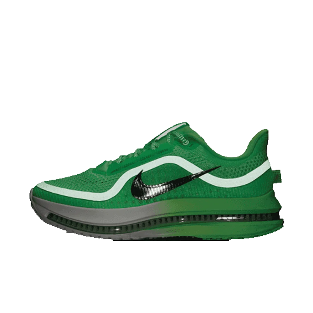 Nike Women's Pegasus Premium Road Running Shoes