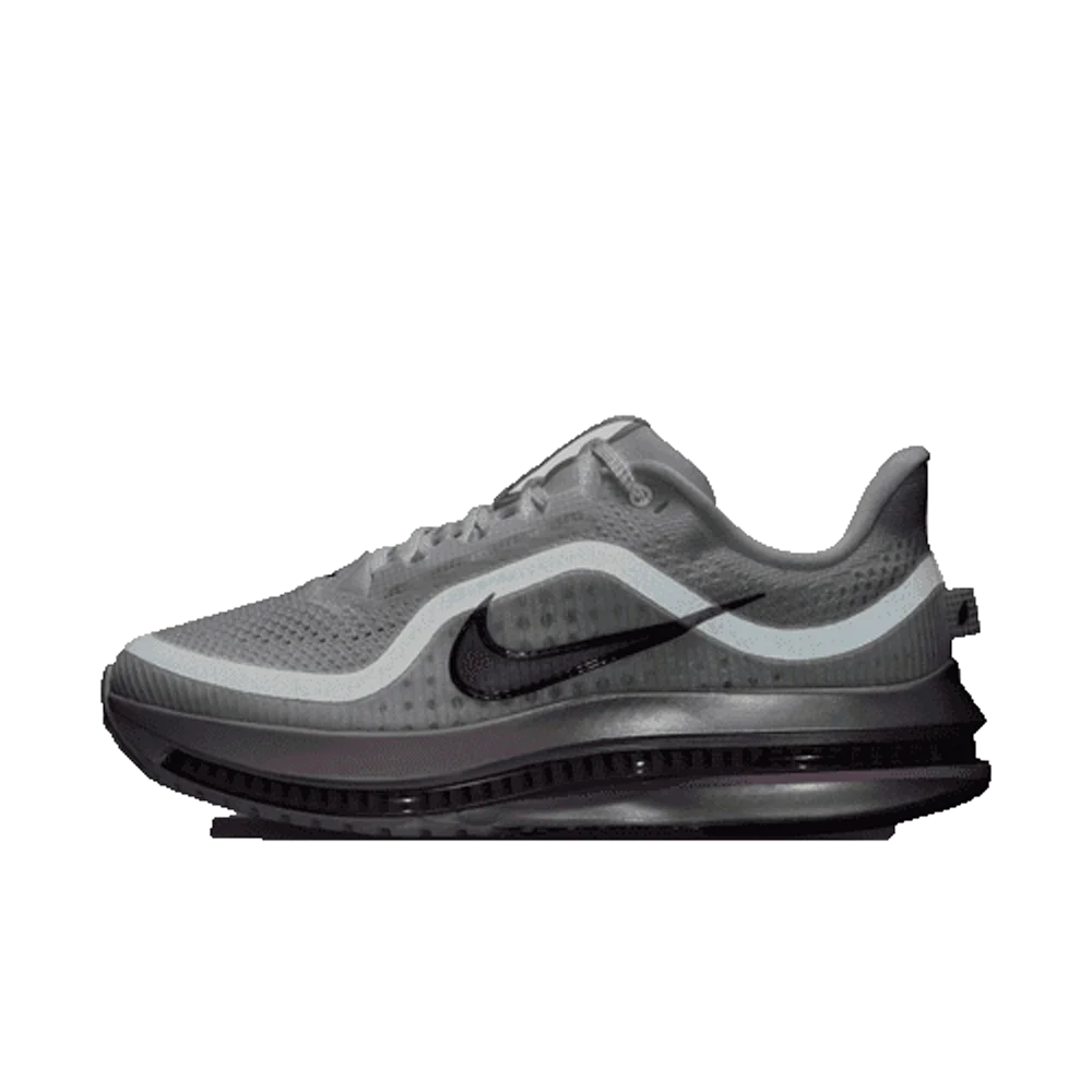 Nike Women's Pegasus Premium Road Running Shoes