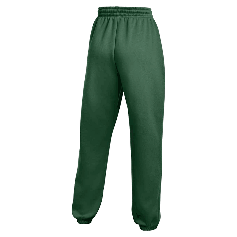 Sudadera con capucha polar Nike Women's Team Sportswear Phoenix Fleece PO 