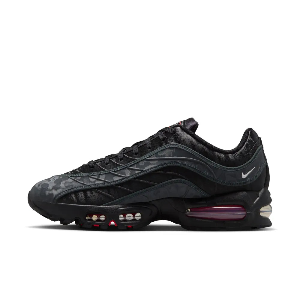 Nike Men's Air Max 