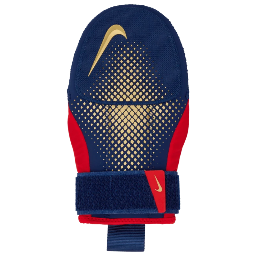 Nike Men's Diamond Sliding Mitt 2.0 Blue Color.