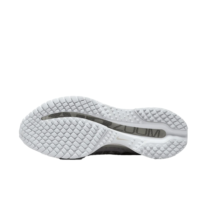 Nike Pegasus Premium Men's Road Running Shoes