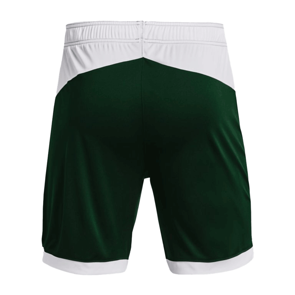 UA Men's Maquina 3.0 Short