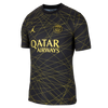 Paris Saint-Germain 2022/23 Match Fourth Men's Jordan Dri-Fit ADV Soccer Jersey