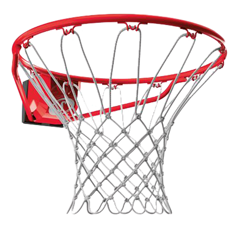 Pro Slam Basketball Rim