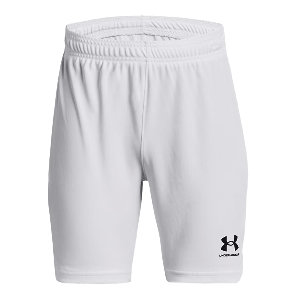 UA Boy's Challenger Core Shorts