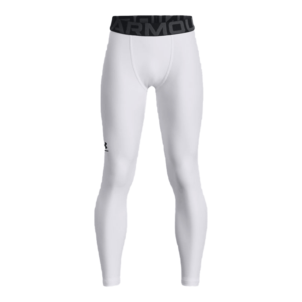 UA Boys' HeatGear® Armour Leggings