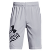 Pantalones cortos UA Youth Boys' Prototype 2.0 con logo
