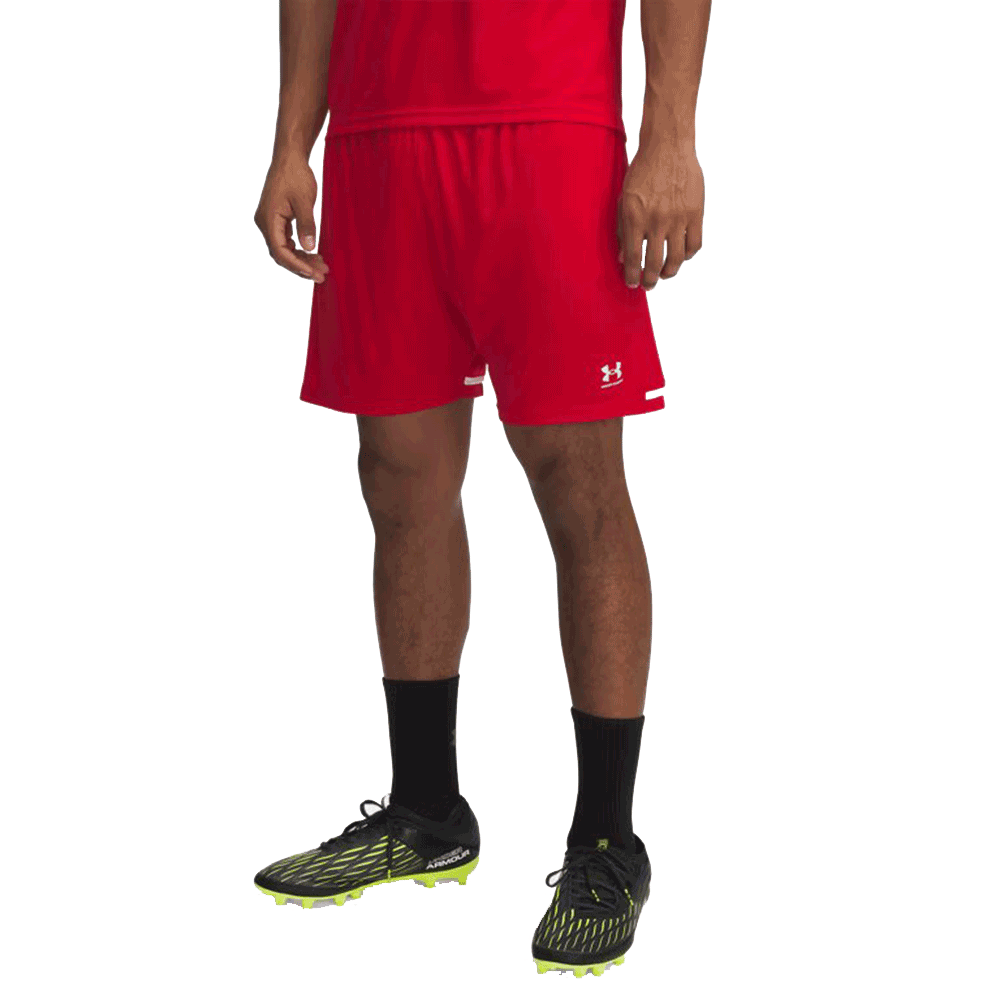 UA Men's Challenger Shorts