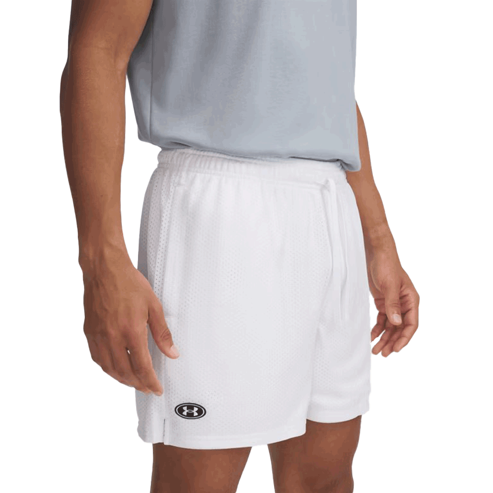 UA Men's Icon Mesh  Shorts