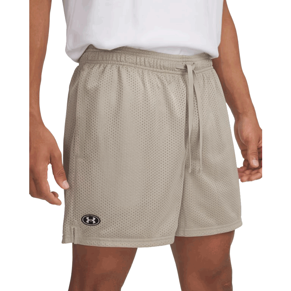 UA Men's Icon Mesh  Shorts