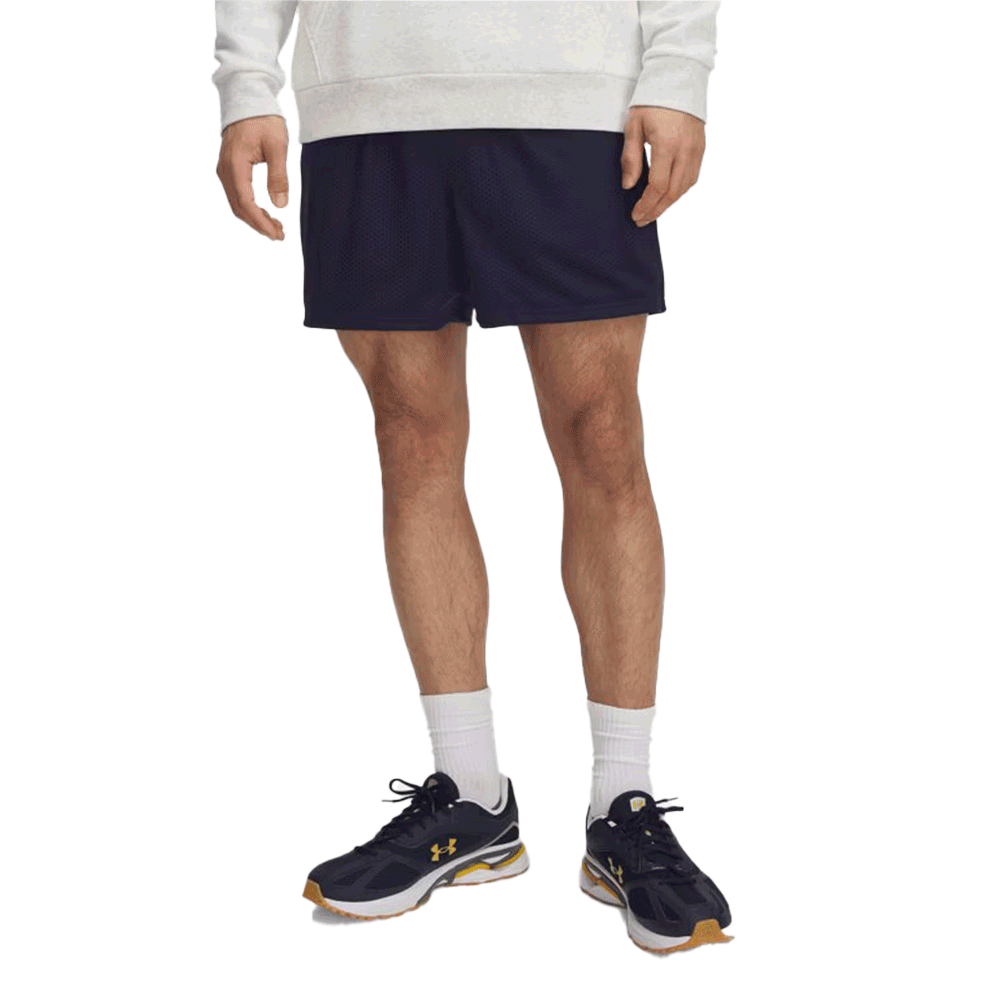 UA Men's Icon Mesh  Shorts