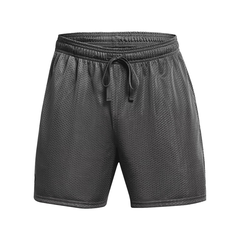UA Men's Icon Mesh  Shorts
