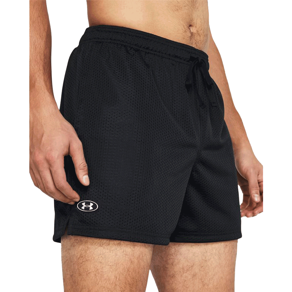 UA Men's Icon Mesh  Shorts