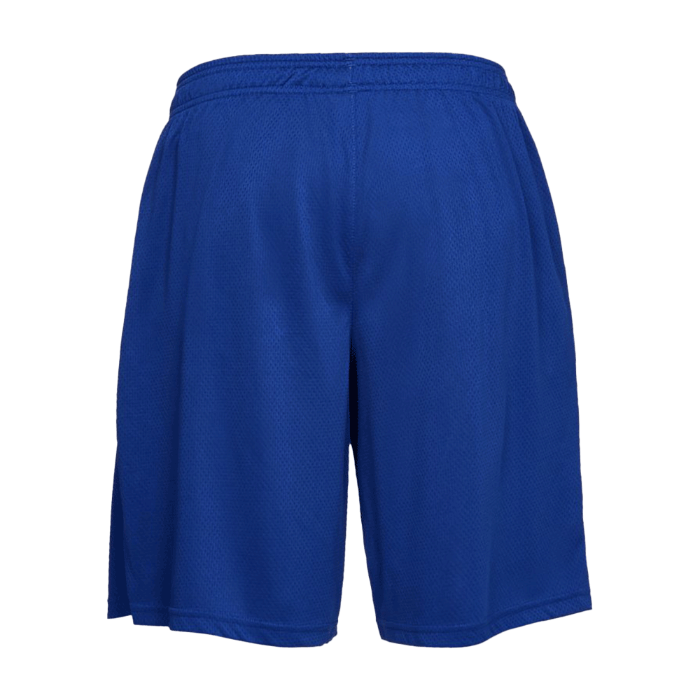 UA Men's Tech Mesh Shorts