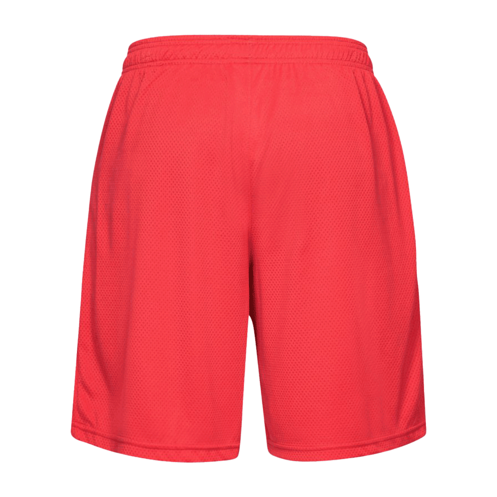 UA Men's Tech Mesh Shorts