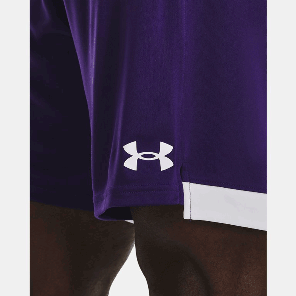 UA Men's Maquina 3.0 Short
