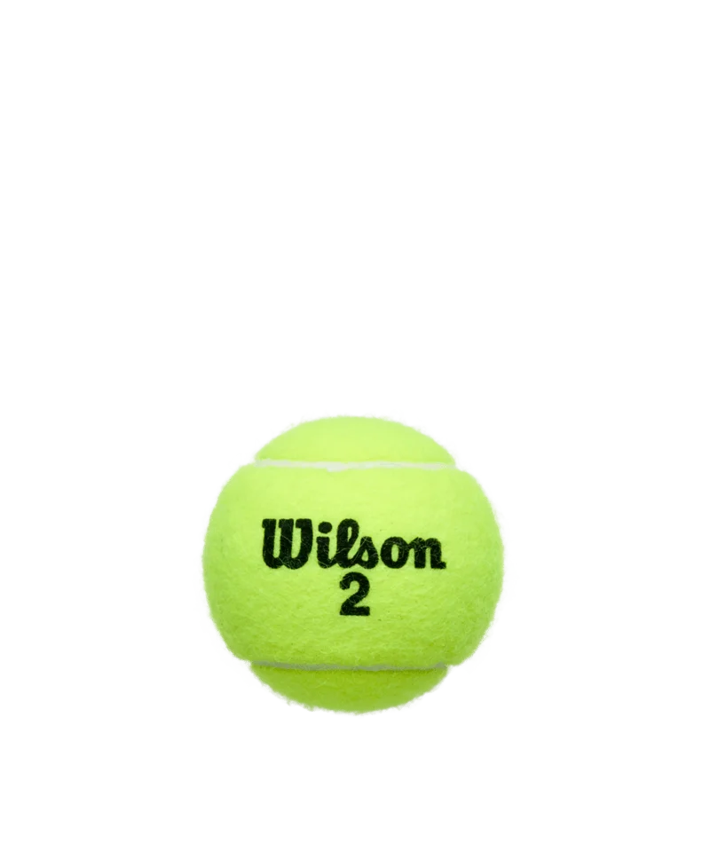 Wilson Championship Extra Duty 3 Ball Can