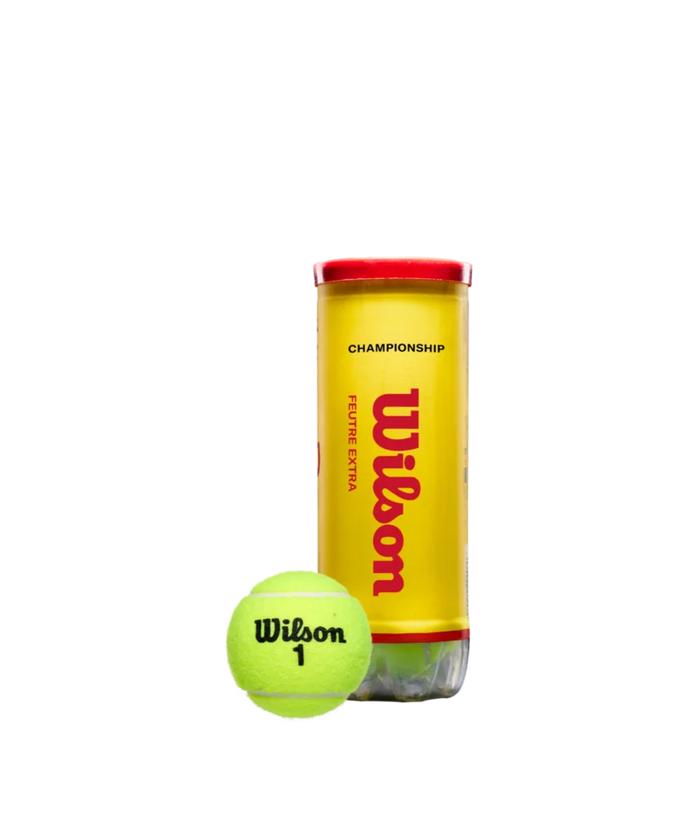 Wilson Championship Extra Duty 3 Ball Can
